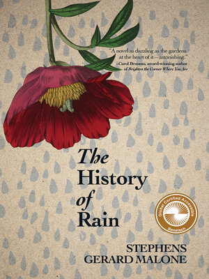 The History of Rain - ebook